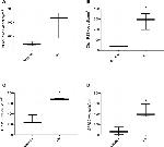 CMKLR1 Antibody in Immunohistochemistry (Paraffin) (IHC (P))