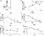 FOXP3 Antibody in Flow Cytometry (Flow)