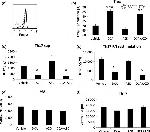 FOXP3 Antibody in Flow Cytometry (Flow)
