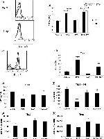FOXP3 Antibody in Flow Cytometry (Flow)