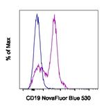 CD19 Antibody in Flow Cytometry (Flow)