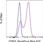 CD62L (L-Selectin) Antibody in Flow Cytometry (Flow)
