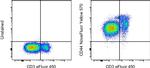 CD44 Antibody in Flow Cytometry (Flow)