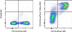 CD24 Antibody in Flow Cytometry (Flow)