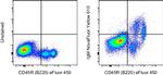 Mouse IgM Antibody in Flow Cytometry (Flow)