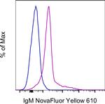 Mouse IgM Antibody in Flow Cytometry (Flow)