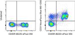 CD31 (PECAM-1) Antibody in Flow Cytometry (Flow)
