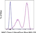 MHC Class II (I-A/I-E) Antibody in Flow Cytometry (Flow)