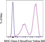 MHC Class II (I-A/I-E) Antibody in Flow Cytometry (Flow)