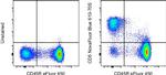 CD5 Antibody in Flow Cytometry (Flow)