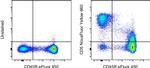 CD5 Antibody in Flow Cytometry (Flow)