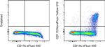 CD115 (c-fms) Antibody in Flow Cytometry (Flow)