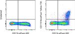 CD115 (c-fms) Antibody in Flow Cytometry (Flow)