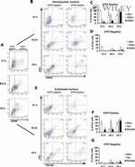 CD45 Antibody in Flow Cytometry (Flow)