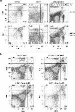 CD8a Antibody in Flow Cytometry (Flow)