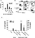 IFN gamma Antibody in ELISA (ELISA)