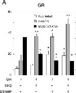 Glucocorticoid Receptor Antibody in ChIP Assay (ChIP)