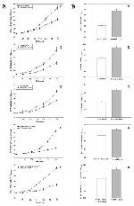 Nectin 1 Antibody in ELISA (ELISA)