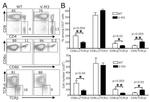 CD3e Antibody in Flow Cytometry (Flow)
