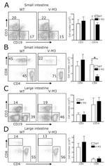 CD3e Antibody in Flow Cytometry (Flow)