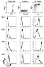 CD11b Antibody in Flow Cytometry (Flow)