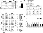 IFN gamma Antibody in Flow Cytometry (Flow)
