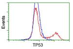 p53 Antibody in Flow Cytometry (Flow)