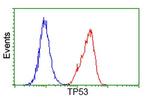 p53 Antibody in Flow Cytometry (Flow)