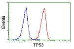 p53 Antibody in Flow Cytometry (Flow)