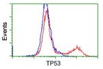 p53 Antibody in Flow Cytometry (Flow)