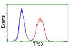 p53 Antibody in Flow Cytometry (Flow)