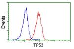 p53 Antibody in Flow Cytometry (Flow)