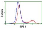 p53 Antibody in Flow Cytometry (Flow)