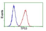 p53 Antibody in Flow Cytometry (Flow)