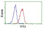 p53 Antibody in Flow Cytometry (Flow)