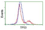 p53 Antibody in Flow Cytometry (Flow)