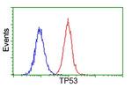 p53 Antibody in Flow Cytometry (Flow)