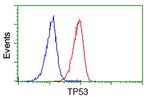 p53 Antibody in Flow Cytometry (Flow)