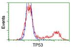 p53 Antibody in Flow Cytometry (Flow)
