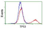 p53 Antibody in Flow Cytometry (Flow)