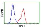 p53 Antibody in Flow Cytometry (Flow)