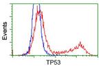 p53 Antibody in Flow Cytometry (Flow)