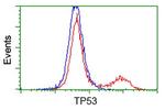 p53 Antibody in Flow Cytometry (Flow)