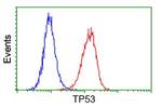 p53 Antibody in Flow Cytometry (Flow)