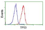 p53 Antibody in Flow Cytometry (Flow)