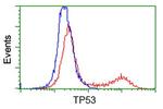 p53 Antibody in Flow Cytometry (Flow)