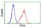 p53 Antibody in Flow Cytometry (Flow)