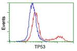 p53 Antibody in Flow Cytometry (Flow)