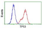 p53 Antibody in Flow Cytometry (Flow)