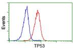p53 Antibody in Flow Cytometry (Flow)